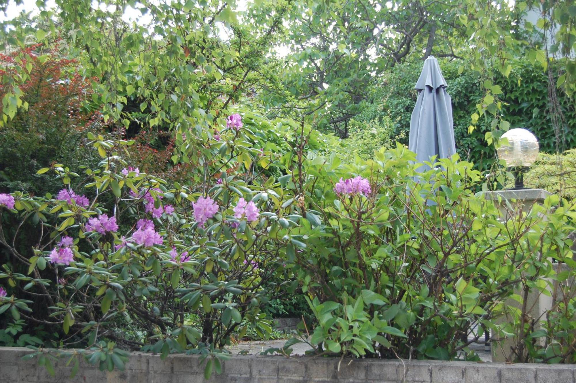 Hofgassl Zentgraf Bed and Breakfast Mörbisch am See Esterno foto