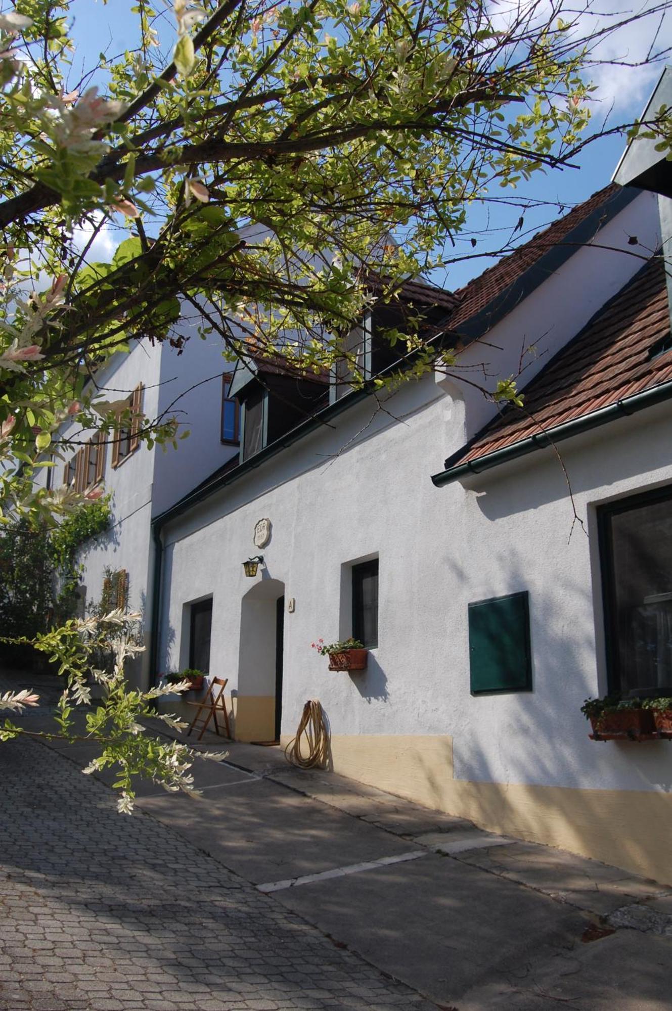 Hofgassl Zentgraf Bed and Breakfast Mörbisch am See Esterno foto