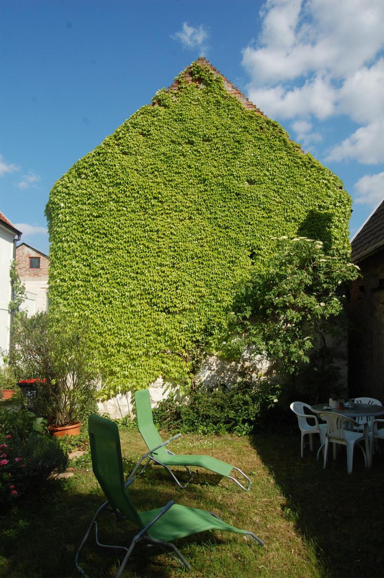 Hofgassl Zentgraf Bed and Breakfast Mörbisch am See Esterno foto