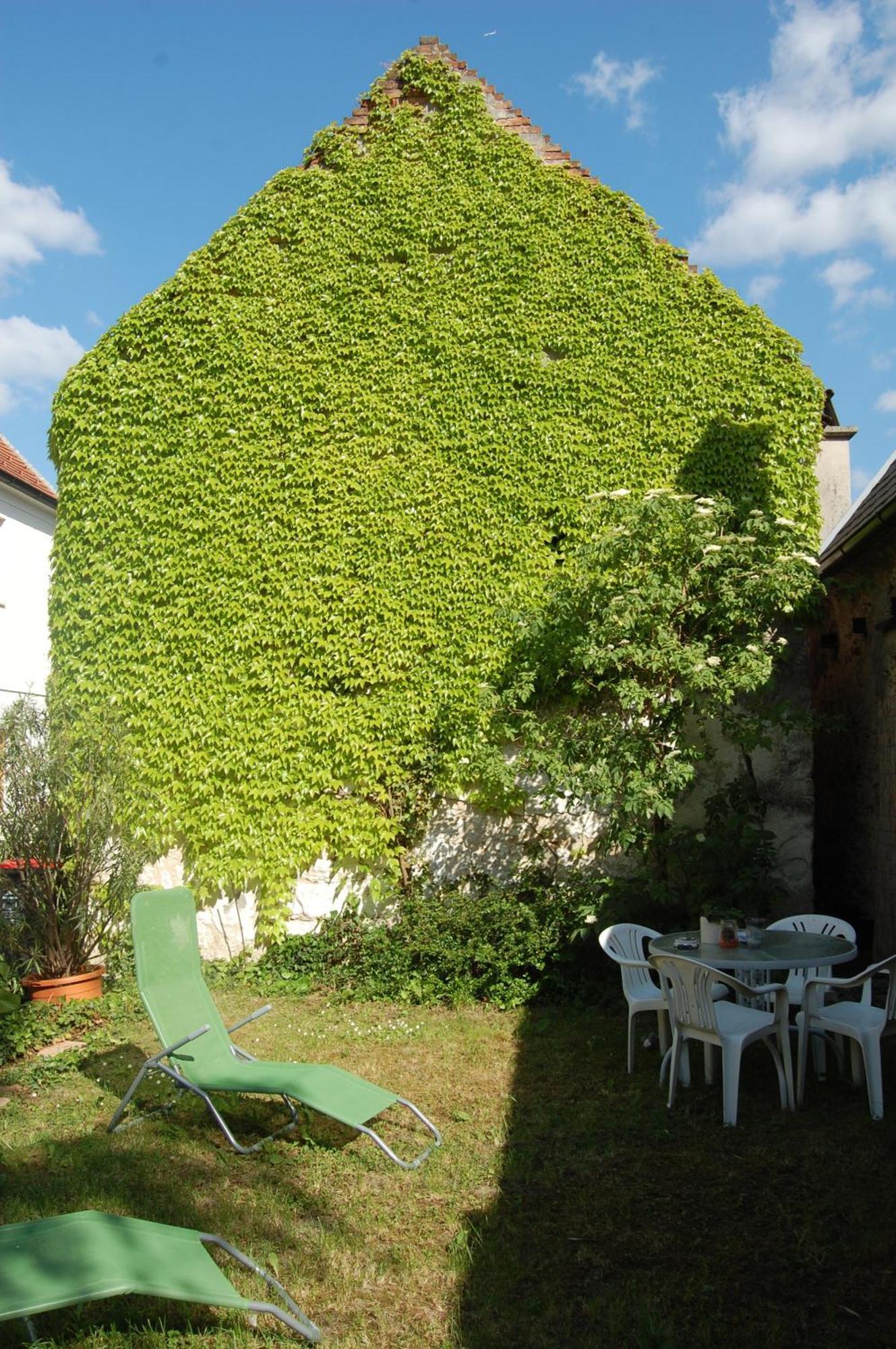Hofgassl Zentgraf Bed and Breakfast Mörbisch am See Esterno foto